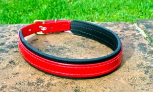 Medium Translucent Red Dog Collar With BETA® Black Underlay-0
