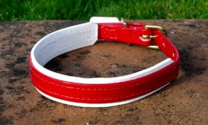 Small Translucent Red Dog Collar With BETA® White Underlay-0