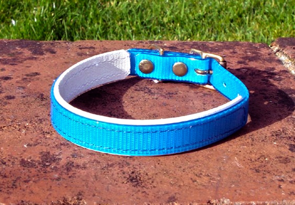 Small Translucent Mid Blue Dog Collar With BETA® White Underlay-0