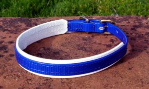 Medium Translucent Dark Blue Dog Collar With BETA® White Underlay-0