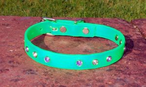 Extra Small BETA® Light Green Dog Collar With Purple and White Rhinestones-0
