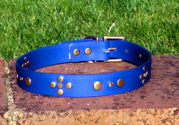 Large BETA® Blue Dog Collar With Rivets and Amber Rhinestones-0