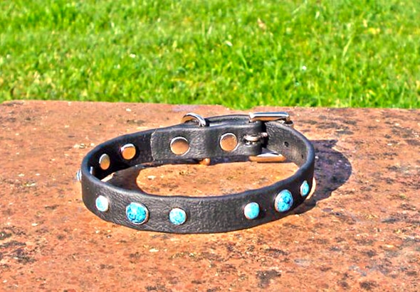 Extra Small BETA® Black Dog Collar With Turquoise Rivets-0