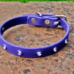 Extra Small BETA® Purple Dog Collar With Rhinestones-0