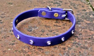 Extra Small BETA® Purple Dog Collar With Rhinestones-0