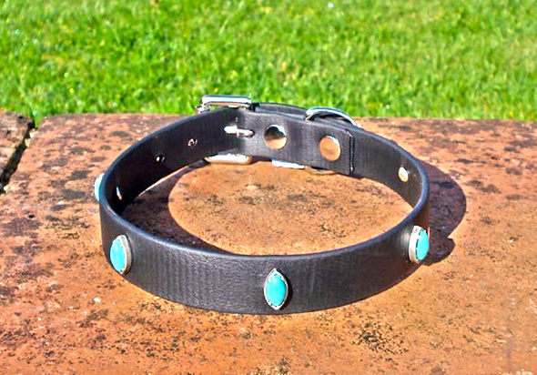 Medium BETA® Black Dog Collar With Dragons Eye Rivets-0