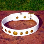 Small BETA® White Dog Collar With Rivets-0