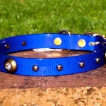 Medium Translucent Dark Blue Dog Collar With Spotlight Rivets and Domed Rivets-0