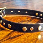 Extra Small BETA® Black Dog Collar With Amber Rhinestones and Rivets-0