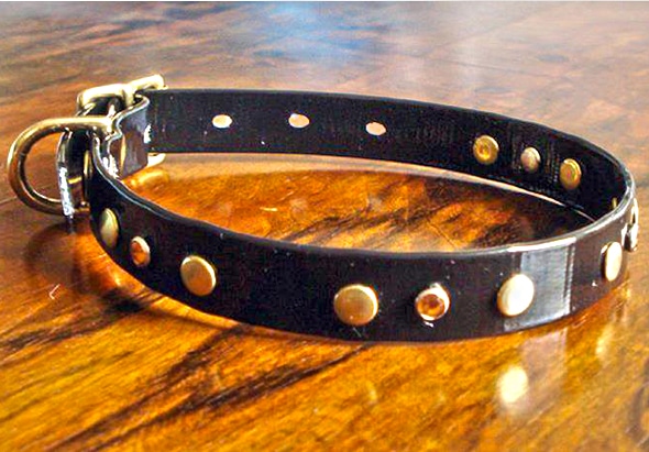 Extra Small BETA® Black Dog Collar With Amber Rhinestones and Rivets-0
