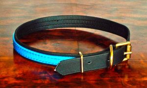 Medium BETA® Black Dog Collar with Translucent Mid Blue Overlay-0