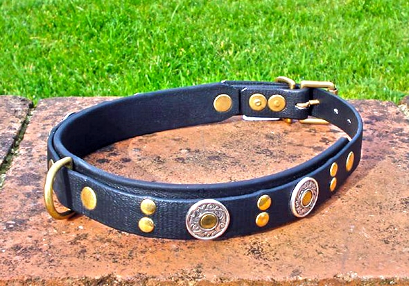 Large BETA® Black Dog Collar With BETA® Black Underlay, Florentine Conchos and Rivets-0