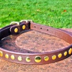 Large BETA® Brown Dog Collar With Brass Rivets-0