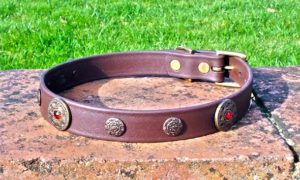 Large BETA® Brown Dog Collar With Freeya and Nordstar Conchos-0