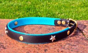 Large BETA® Black Dog Collar With Translucent Turquoise Underlay, Stars and Rivets-0