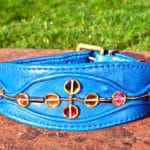 Medium Blue Lamb Nappa Leather Dog Collar With Gold Beads-0