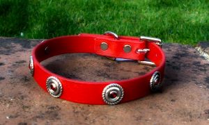 Small BETA® Red Dog Collar With Rope Concho and Red Rhinestone Insets-0