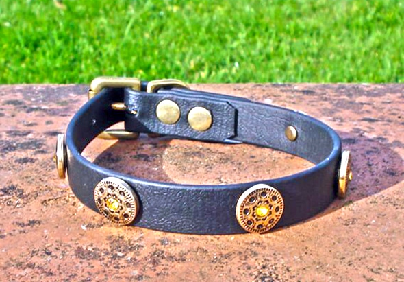 Small BETA® Black Dog Collar With Gold Plated Freya Conchos-0