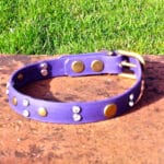 Medium BETA® Purple Dog Collar With Rivets and Clear Rhinestones-0