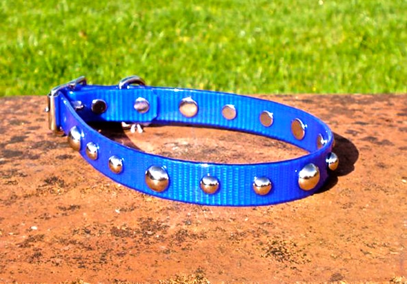 Medium Translucent Dark Blue Dog Collar With Domed Rivets-0