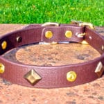 Small BETA® Brown Dog Collar With Keystones and Rivets-0