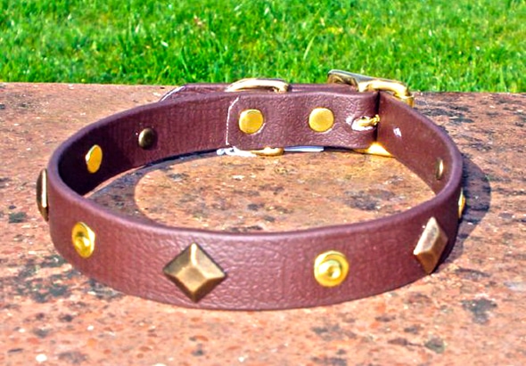 Small BETA® Brown Dog Collar With Keystones and Rivets-0