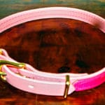 Small BETA® Pale Pink Dog Collar With Translucent Fushia Pink Overlay-0