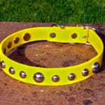 Small BETA® Yellow Dog Collar With Domed Rivets-0