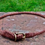 Plaited Leather House Dog Collar In Tan-0