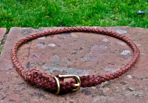 Plaited Leather House Dog Collar In Tan-0