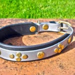 Medium Silver Dog Collar With BETA® Black Underlay and Rivets-0