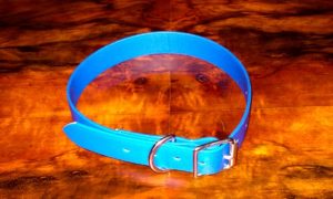 Extra Small BETA® Blue Dog Collar-0