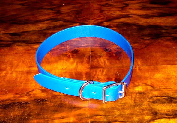 Extra Small BETA® Blue Dog Collar-0