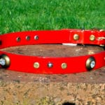 Large BETA® Red Dog Collar With Spotlight Rivets and Domed Rivets-0