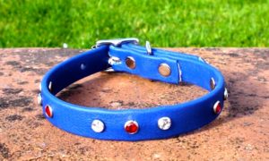 Extra Small BETA® Blue Dog Collar With Red and White Rhinestones-0