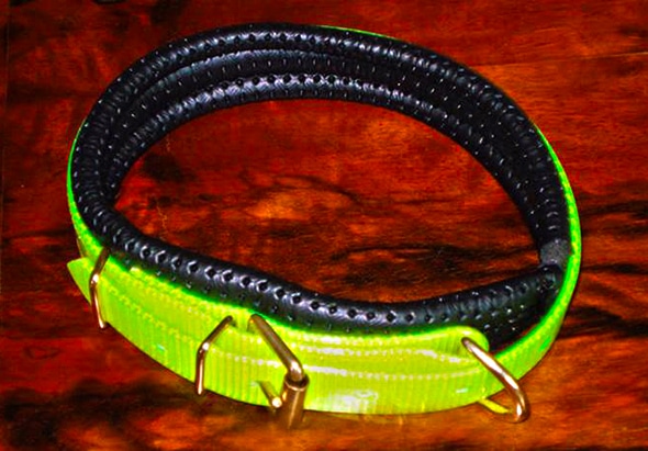 Medium Translucent Yellow Dog Collar With Padded Backing-0