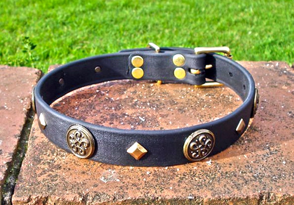Large BETA® Black Dog Collar With Celtic Conchos and Keystone Rivets-0
