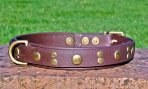 Large BETA® Brown Dog Collar With BETA® Brown Underlay, Rivets-0