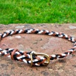 Plaited Leather House Dog Collar In Black, Tan, And White-0