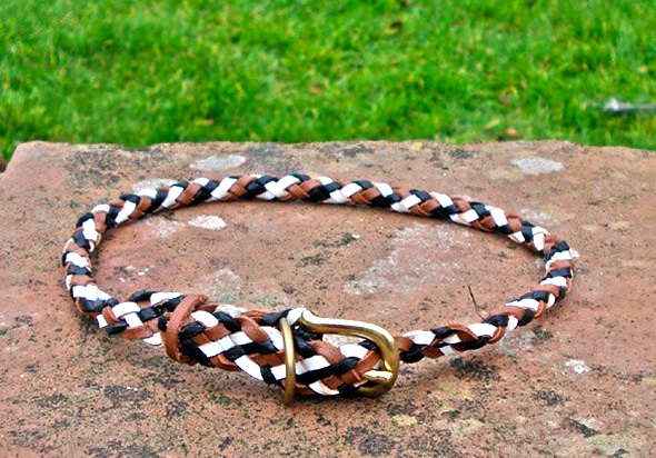 Plaited Leather House Dog Collar In Black, Tan, And White-0