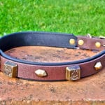 Large BETA® Brown Dog Collar With BETA® Black Underlay, Celtic Squares and Hexagons-0
