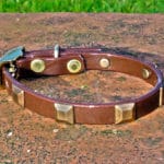 Extra Small BETA® Dark Brown Dog Collar With Square Conchos-0