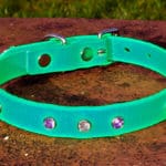 Small BETA® Light Green Dog Collar With Purple And White Rhinestones-0