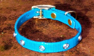 Extra Small Translucent Mid Blue Dog Collar With Blue Rhinestones-0