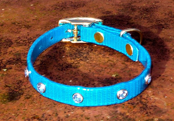 Extra Small Translucent Mid Blue Dog Collar With Blue Rhinestones-0
