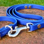 Small BETA® Blue Dog Collar-0