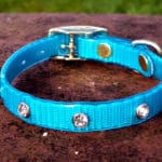 Extra Small Translucent Turquoise Dog Collar With White Rhinestones-0