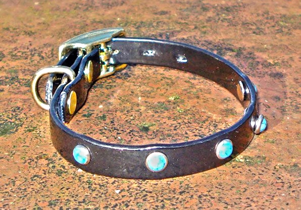 Extra Small BETA® Black Dog Collar With Small Turquoise Rivets-0