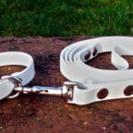 Small BETA® White Dog Collar-0
