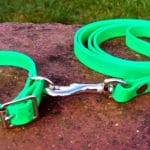 Small BETA® Light Green Dog Collar-0